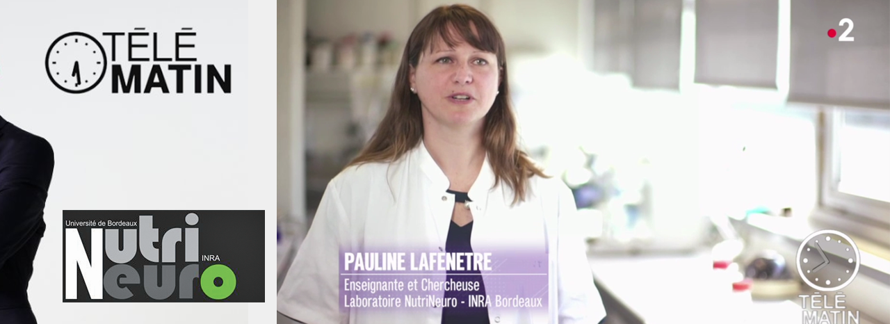 Pauline Lafenêtre, maître de conférences à l'ENSCBP-Bordeaux INP, témoigne de ses recherches dans Télématin Pauline Lafenêtre, maître de conférences à l'ENSCBP-Bordeaux INP, témoigne de ses recherches dans Télématin